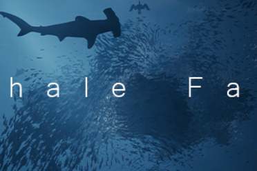 （热议）水底探索游戏《鲸葬》上架Steam平台 预计9月发售