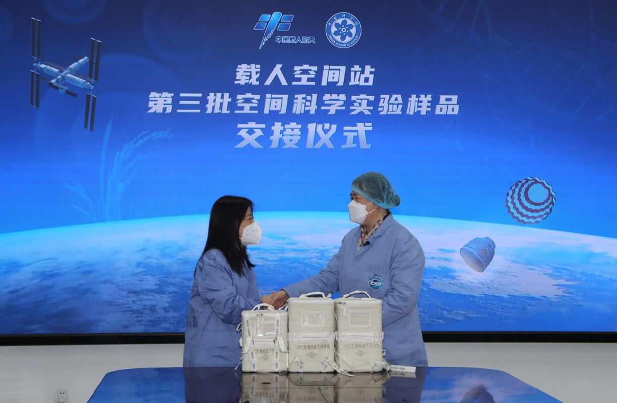 终于将中国空间站种出的水稻种子带“回家了”