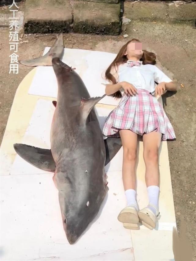 网红提子因烹食大白鲨“消失”7个月，如今现身道歉